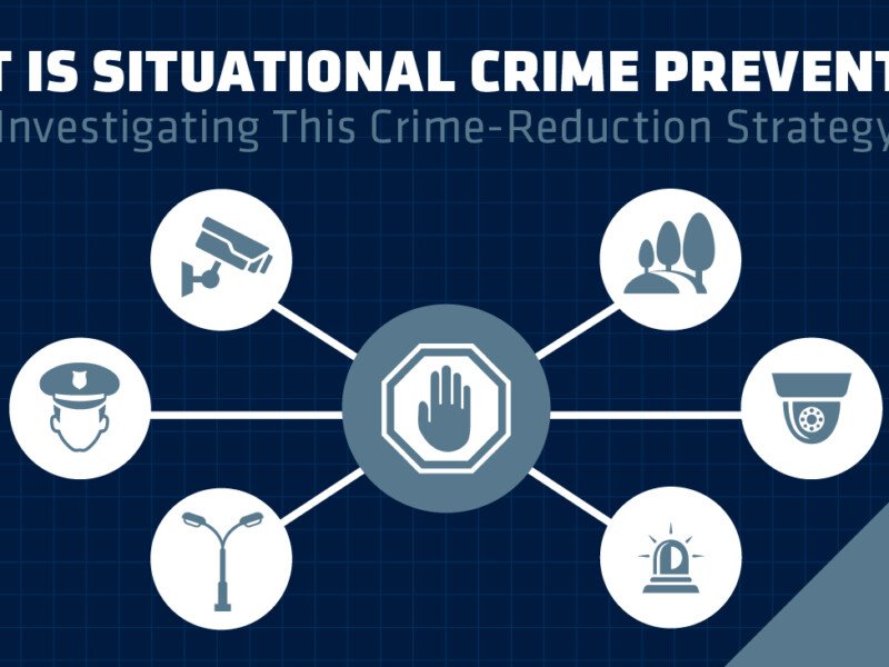 Public Policy Implications and Crime Prevention Strategies