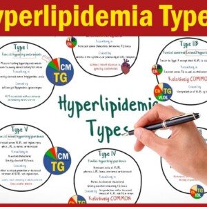 What is Hyperlipidemia