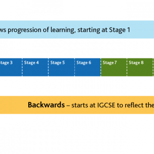 Curriculum