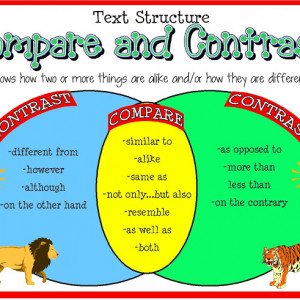 Compare and Contrast Essay