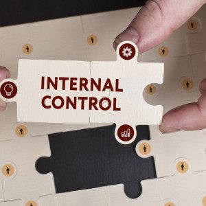 Corporate Controls
