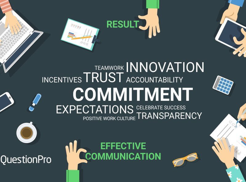 experience that demonstrates your interest and commitment
