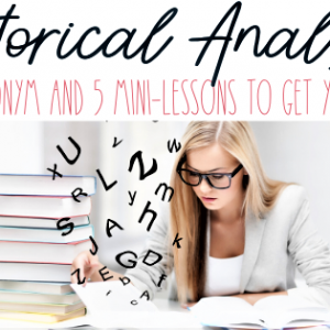 Rhetorical Analysis Essay
