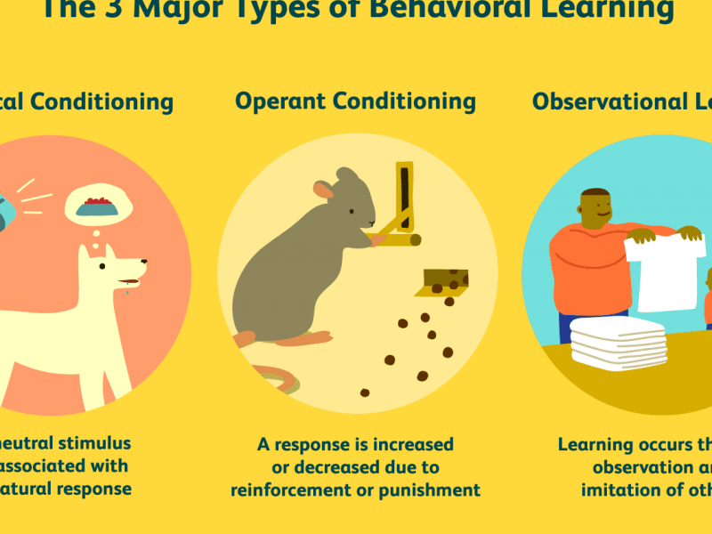 Psychology as Behaviorists view it