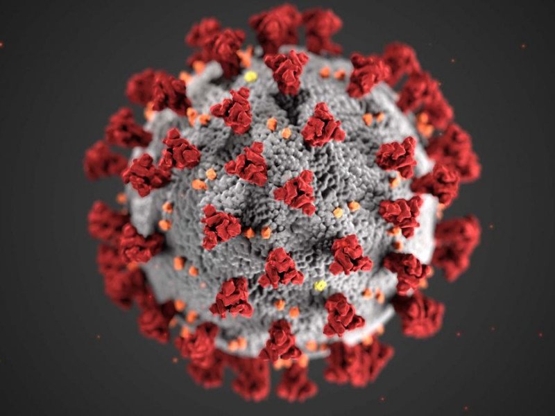pandemic (Covid-19)