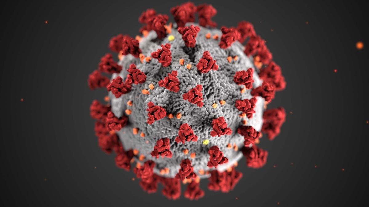pandemic (Covid-19)