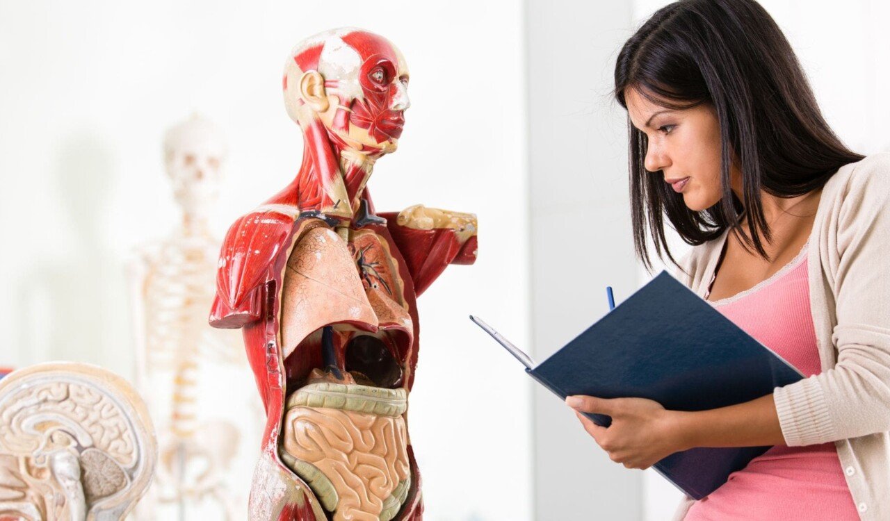 Exploring the Human Body: Comprehensive Resources on Anatomy