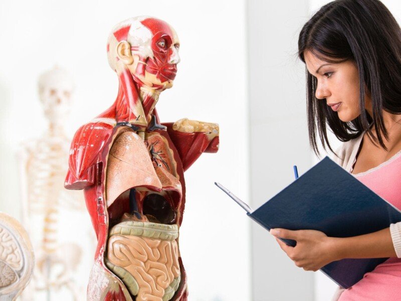 Exploring the Human Body: Comprehensive Resources on Anatomy