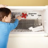 Is Your Fridge Not Cooling? Here’s What You Should Check First