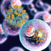 Unlocking Science: The Power of Scientific Illustrations & Animations