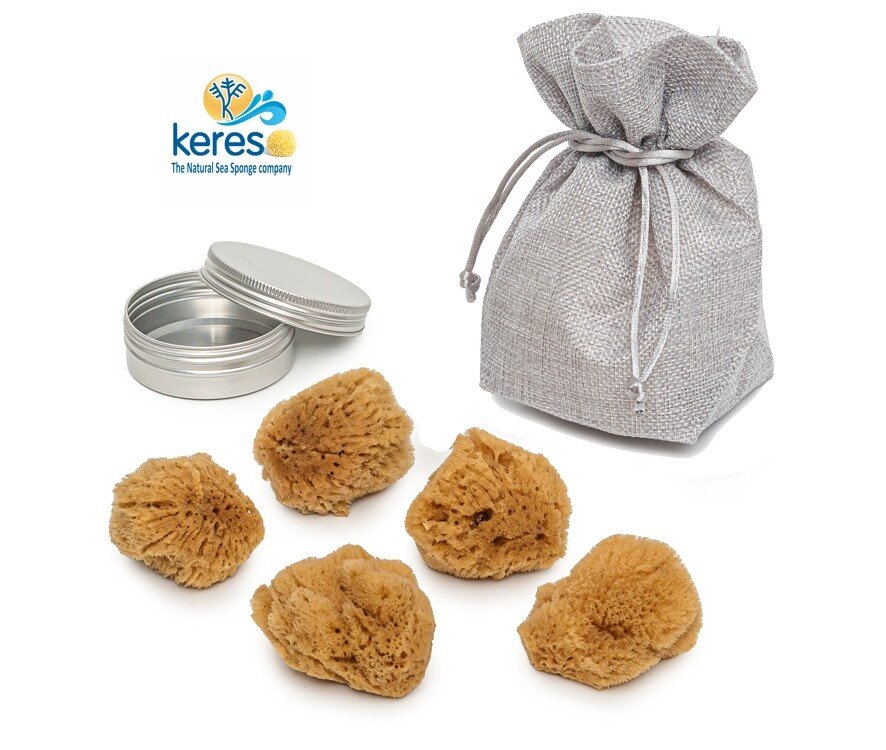 Ocean Treasures: Understanding Sea Sponges and How to Care for Them