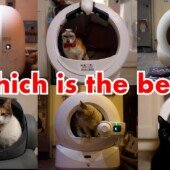 Choosing a Self-Cleaning Litter Box: Philosophy Over Gadgetry