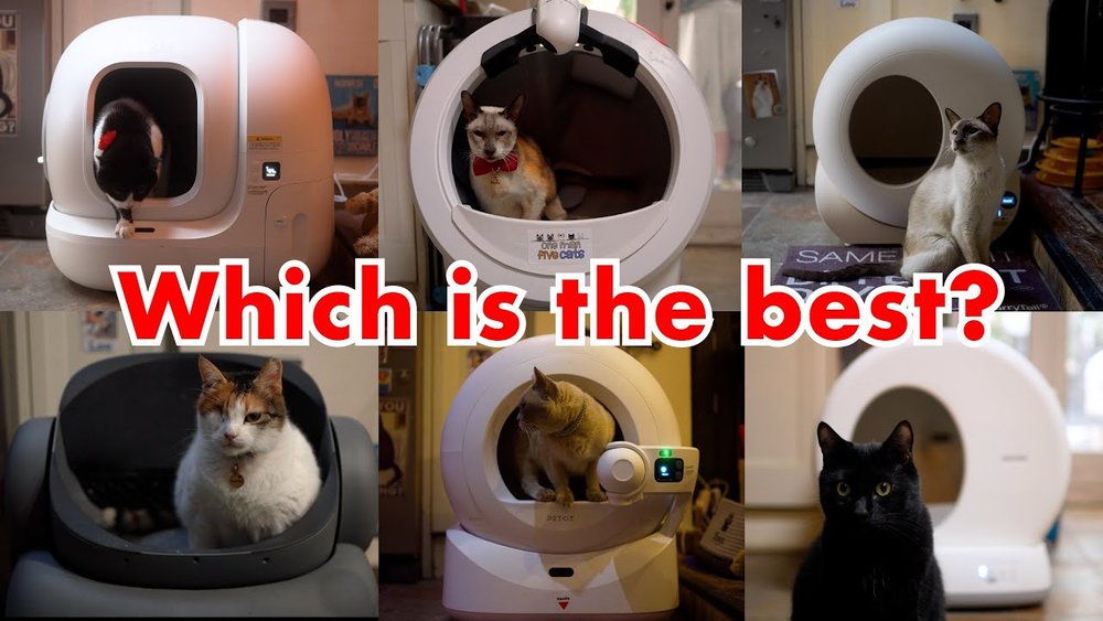 Choosing a Self-Cleaning Litter Box: Philosophy Over Gadgetry