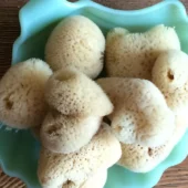 How to Clean a Sea Sponge?