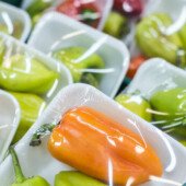 Plastic Protective Packaging Market Drivers
