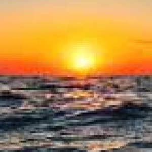 Profile picture of Priyanka Singh