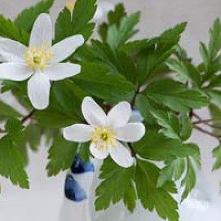 Profile picture of Gabriel Fernandez