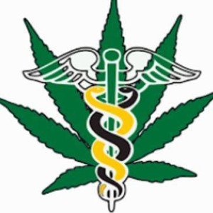 Profile picture of marijuanaevaluation