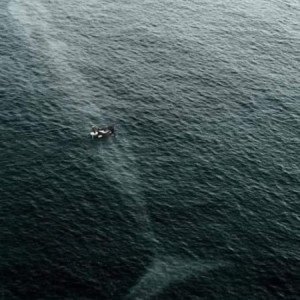 Profile picture of Abhishek