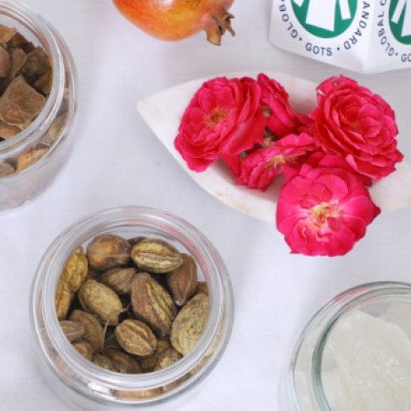 Profile picture of Sam Vegetable Colours