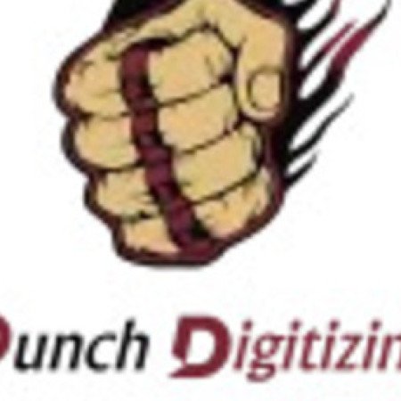 Profile picture of Punch Digitizing