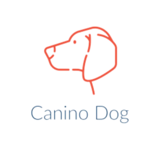 Profile picture of Canino Dog training