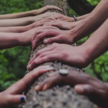 Profile picture of Stevens Point