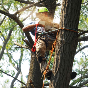 Profile picture of Lauren Porter