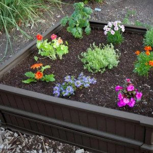 Profile picture of Vego Garden