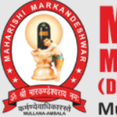 Profile picture of Maharishi Markandeshwar University