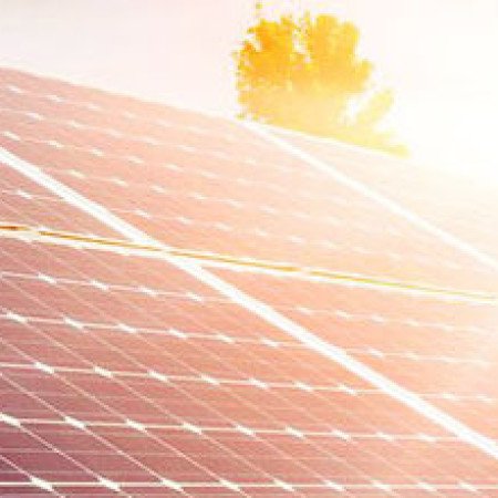 Profile picture of solgen