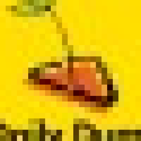 Profile picture of Daily Dump