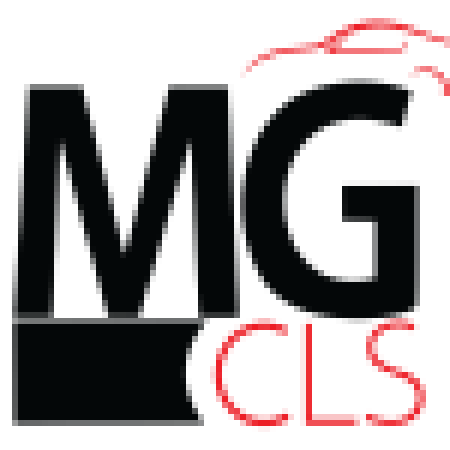 Profile picture of LAX Car Service MGCLS
