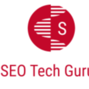 Profile picture of Ecommerce SEO Company Delhi