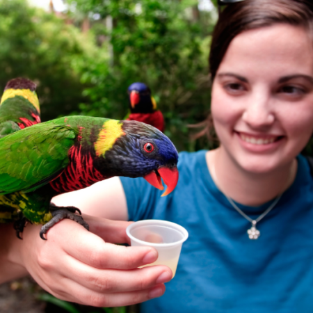 Profile picture of birdfeederworld