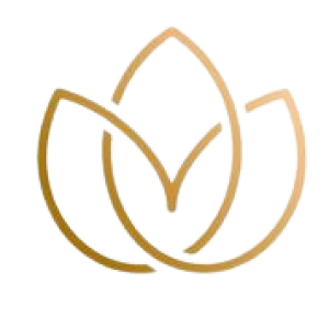 Profile picture of Body Clinic Turkey