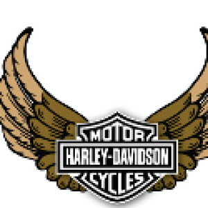 Profile picture of Jill Black