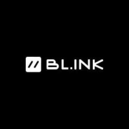 Profile picture of BLINK