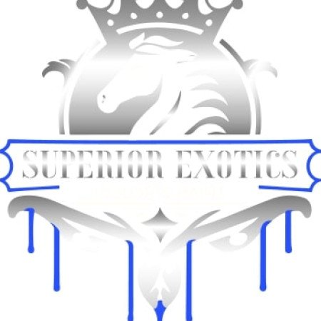 Profile picture of Superior Exotic Color & Paint