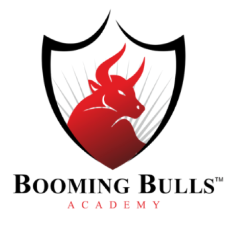 Profile picture of Booming Bulls Academy