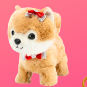 Profile picture of StellaDC