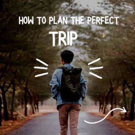 Profile picture of Trippedia - Plan Your Dream Trip Today!