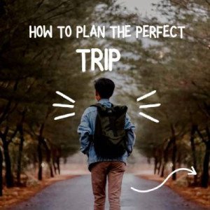 Profile picture of Trippedia - Plan Your Dream Trip Today!
