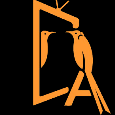 Profile picture of Black Bird IPTV