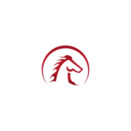 Profile picture of Enterro Chess