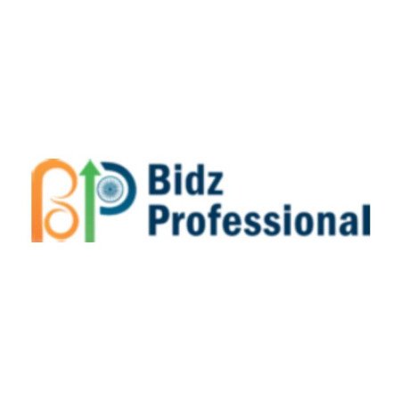 Profile picture of Bidz Professional