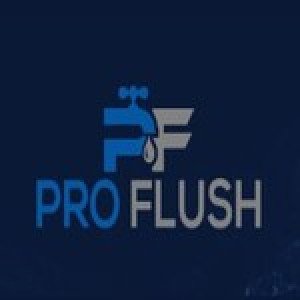 Profile picture of ProFlush