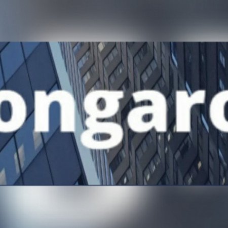 Profile picture of zongaroo magazine