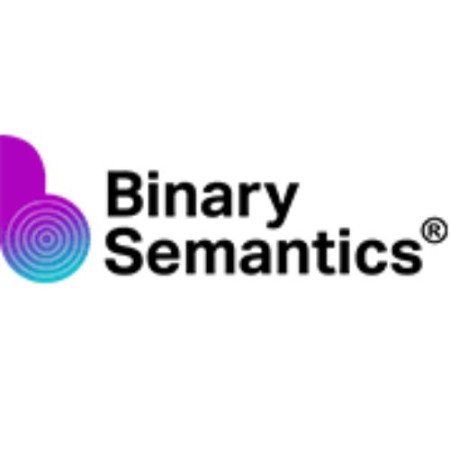 Profile picture of Binary Semantics