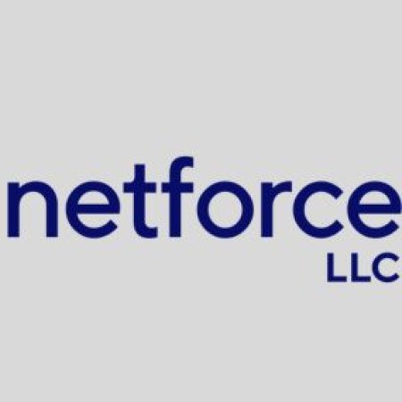 Profile picture of NetForceLlc